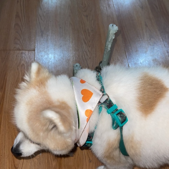 Vintage Candlestick Holders - Picture 4 of 6